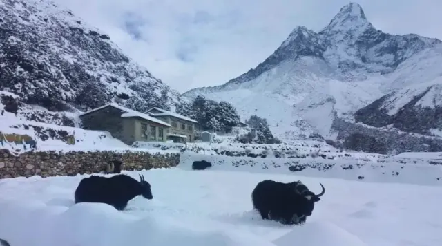 Annapurna Circuit Trek In Winter